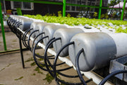 16mm Black Horticultural/ Hydroponics tubing.